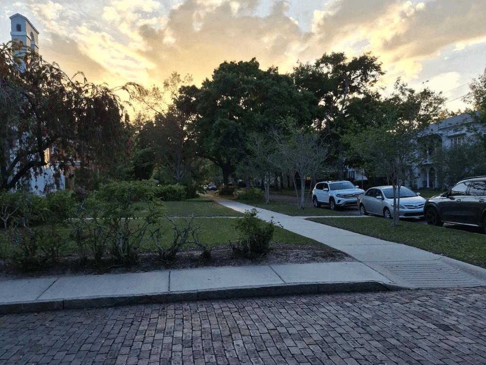 Euclid St. Paul’s neighborhood in St. Petersburg, FL at sunset with tree-lined streets and residential homes